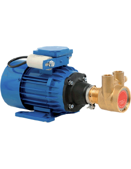 Motor bomba rotativa MBR750 para ósmosis inversa