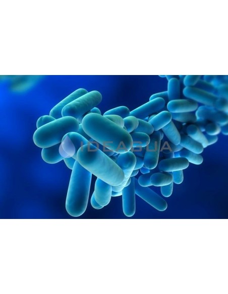 Tratamiento y Prevención de Legionella | Expertos en Sanidad Ambiental