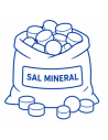 Sal Mineral