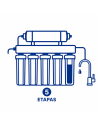 5 etapas